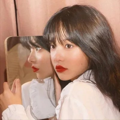 写珍集 在线观看